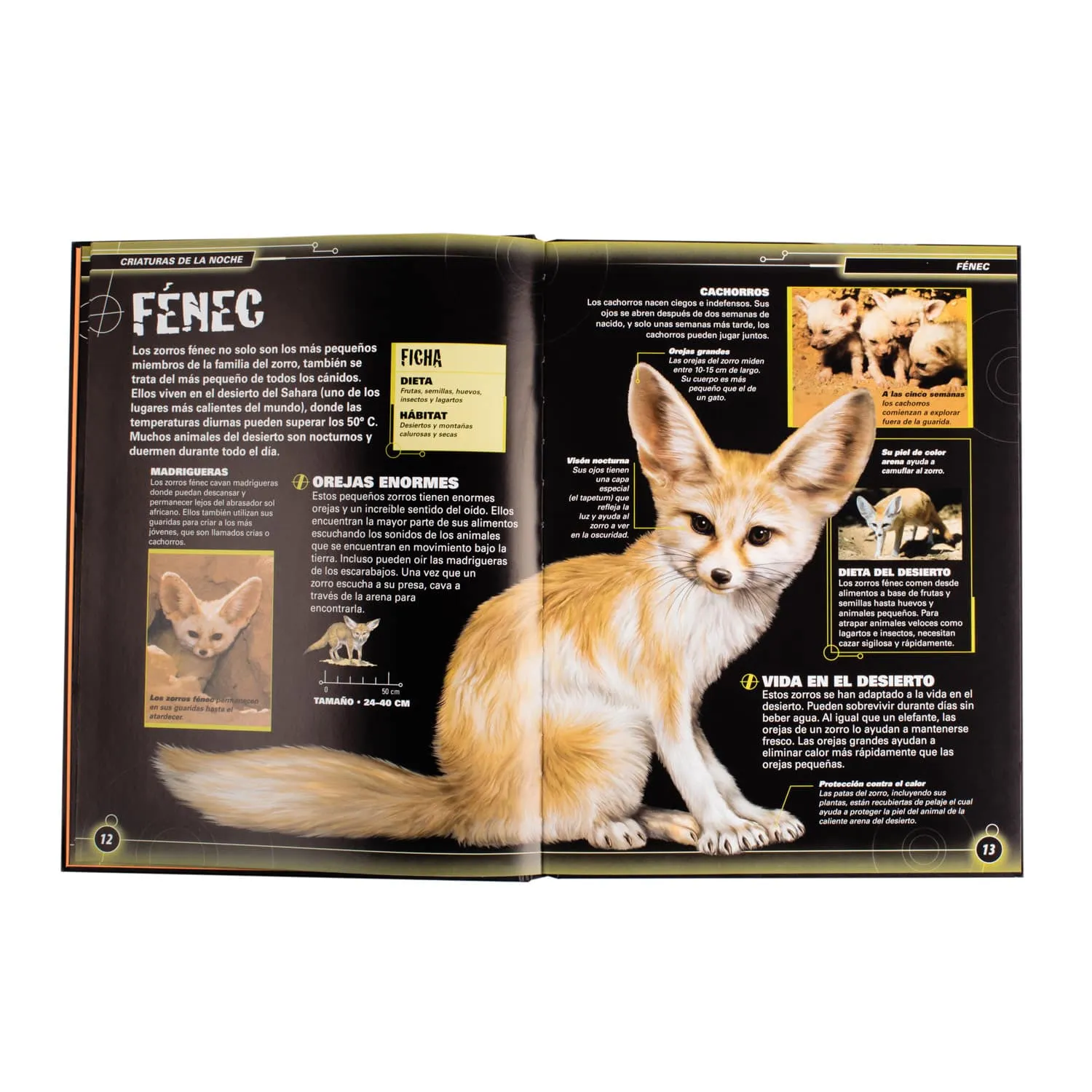 Criaturas de la Noche - Imagen 2