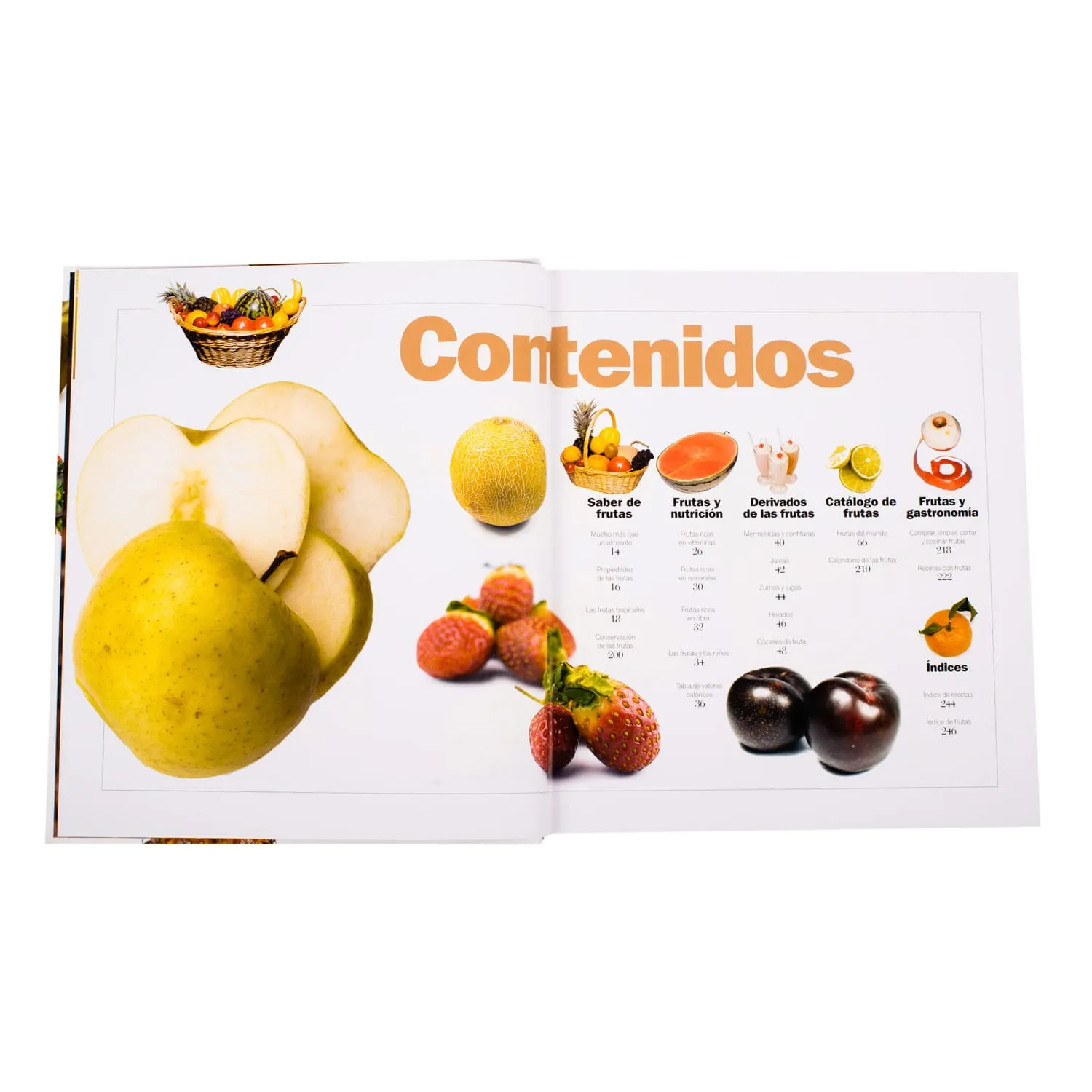 Atlas ilustrado de Frutas - Imagen 2