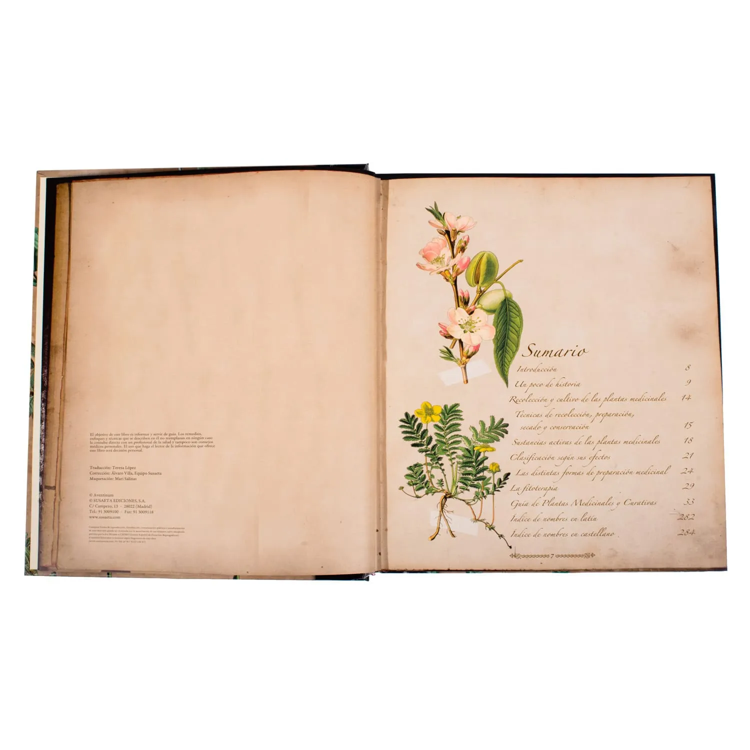 Atlas Ilustrado Plantas Silvestres e Infusiones Curativas - Imagen 2