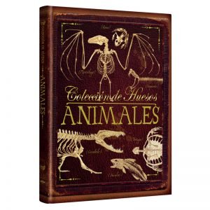 Colección de Huesos de Animales