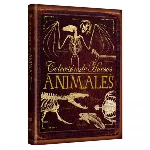 Colección de Huesos de Animales