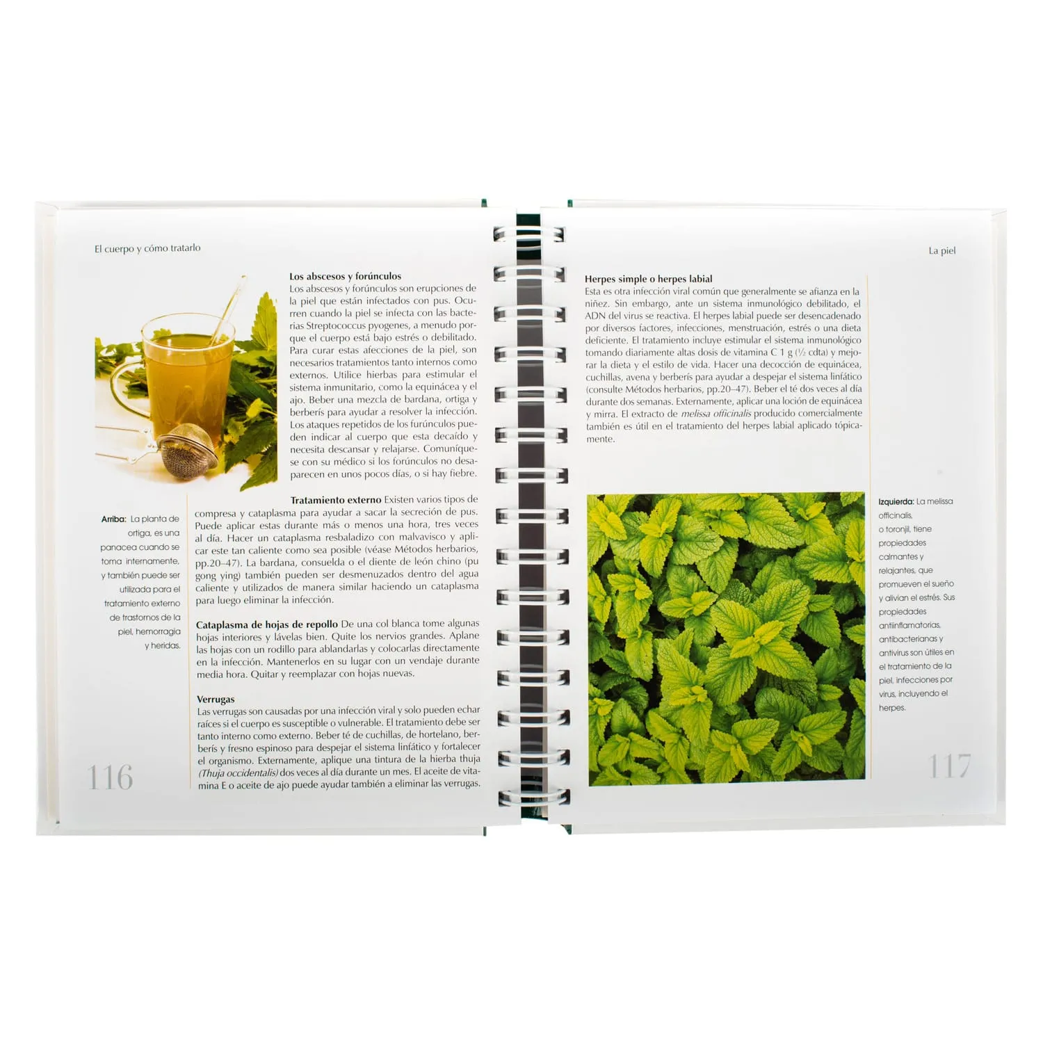 PLANTAS MEDICINALES GUIA PRACTICA - Imagen 4