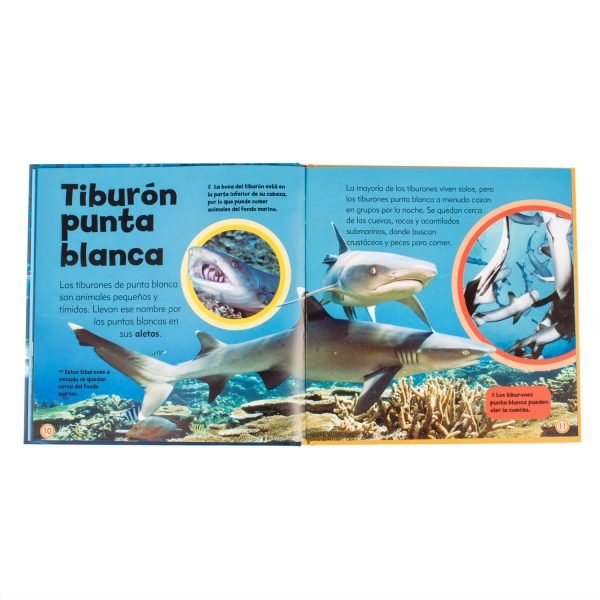 Mi Pequeño Libro de Tiburones - Imagen 3