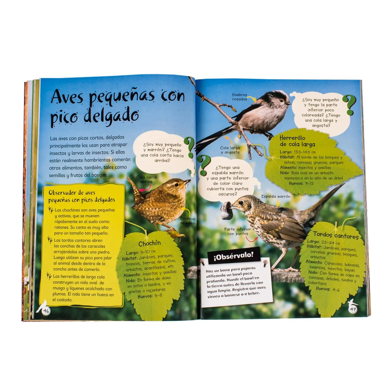 Observa la Vida Silvestre - Imagen 2
