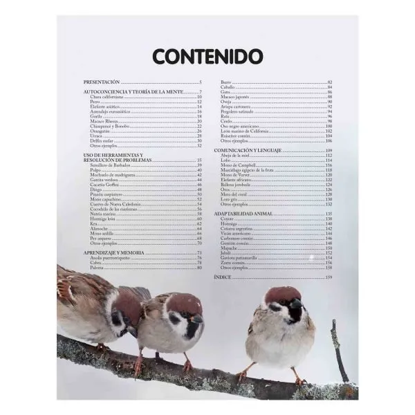 Reino Animal Inteligente - Imagen 2