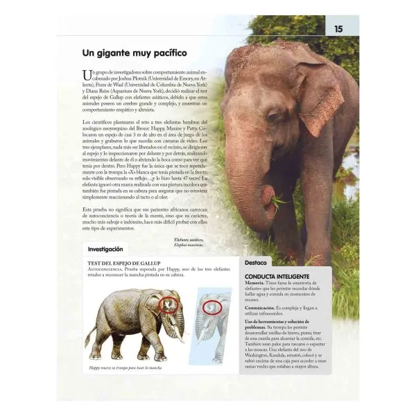 Reino Animal Inteligente - Imagen 3