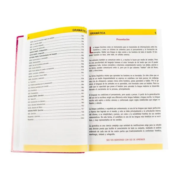 Consultor Gramática - Imagen 2