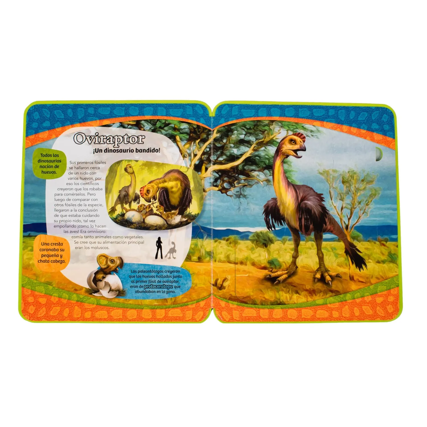 El osado Oviraptor - Imagen 2
