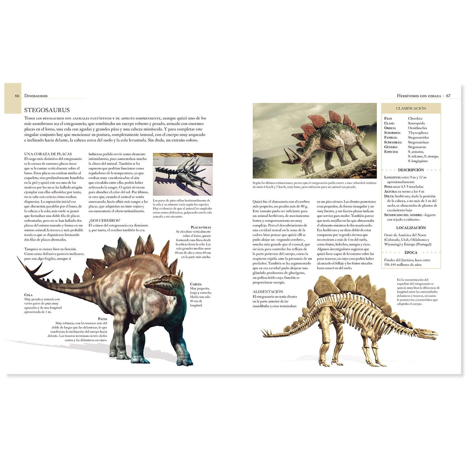Enciclopedia Ilustrada de los Dinosaurios - Imagen 4