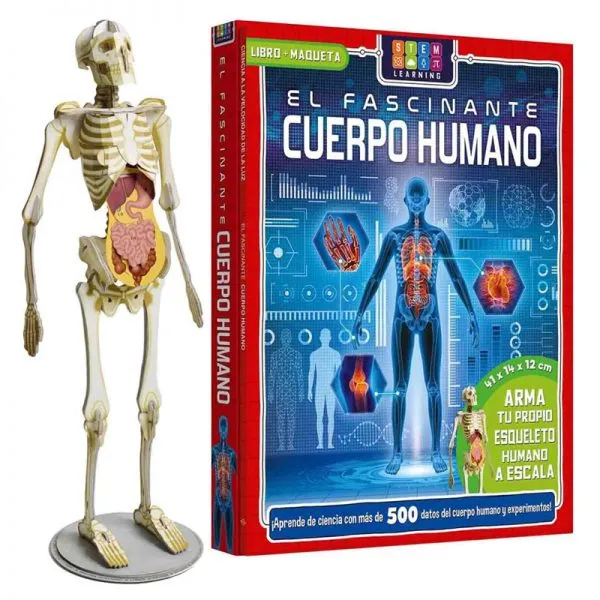 El Fascinante Cuerpo Humano. Libro + Maqueta