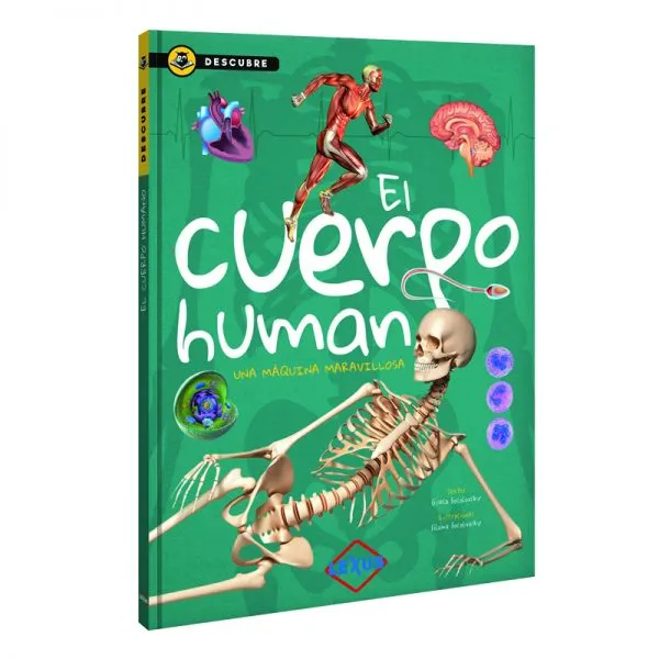 Descubre El Cuerpo Humano