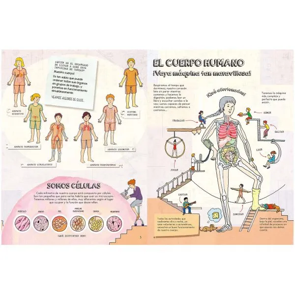 Descubre El Cuerpo Humano - Imagen 2