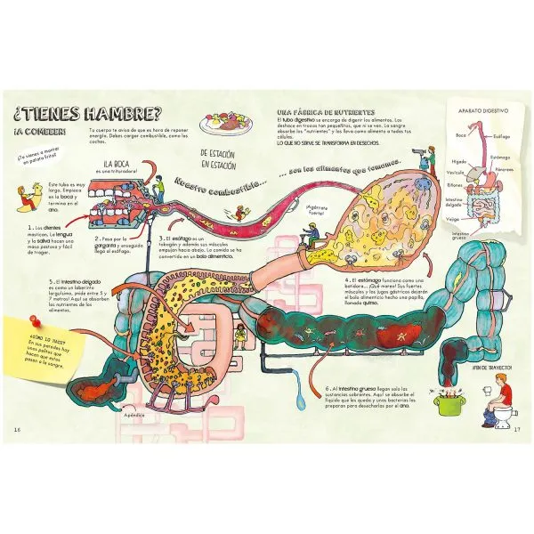 Descubre El Cuerpo Humano - Imagen 3