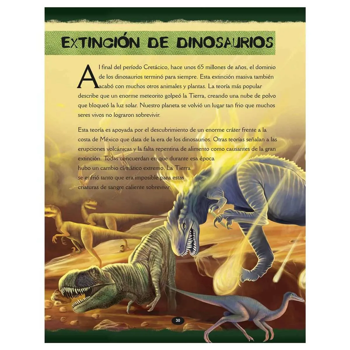 Dinosaurios Libro Didáctico - Imagen 2