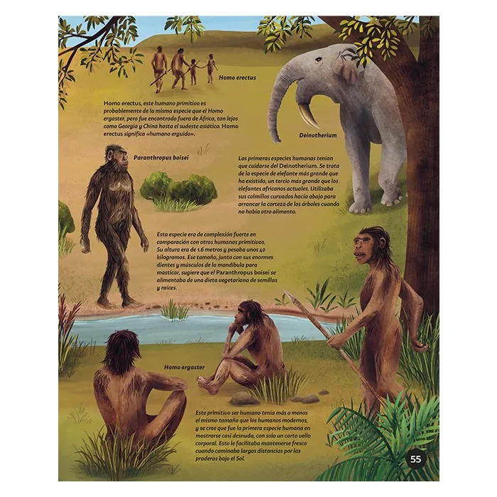 Libro Reloj de la Tierra - Imagen 4