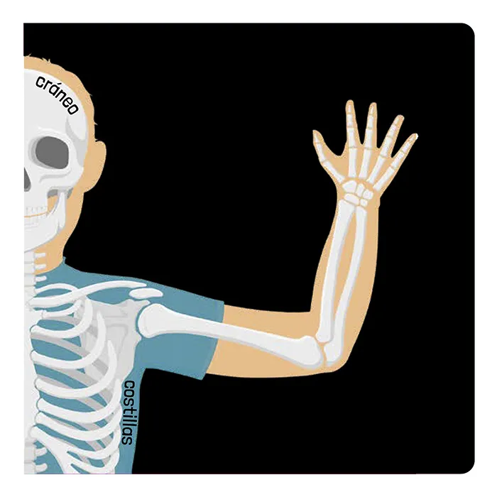 EL CUERPO HUMANO - Imagen 3