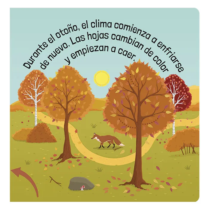 EL CLIMA Y LAS ESTACIONES - Imagen 2