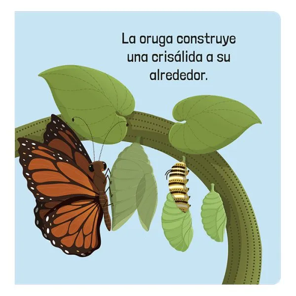 CÓMO FUNCIONAN LOS ORGANISMOS VIVOS - Imagen 3