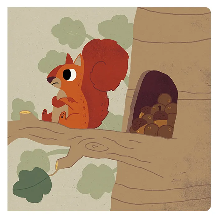 ARDILLA COMPARTE - Imagen 4