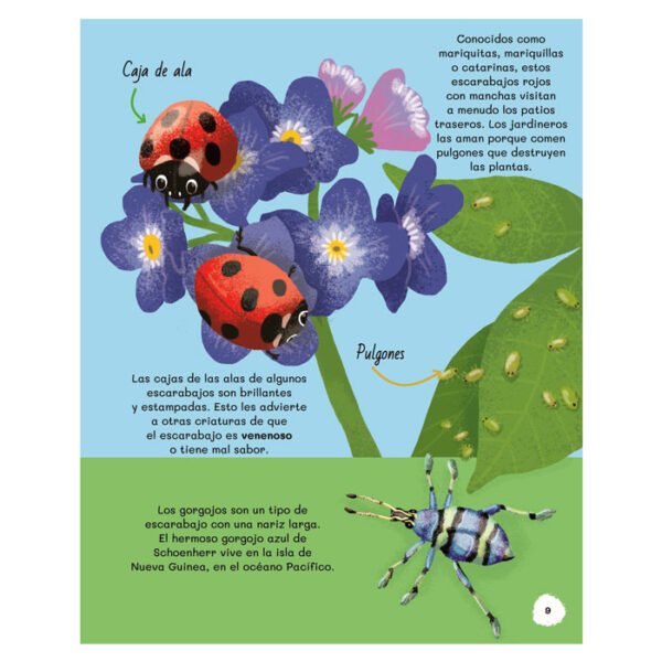 Todo sobre Insectos - Imagen 4