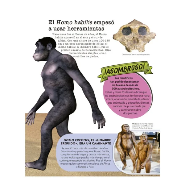 El Libro de Todas las Cosas - Imagen 4