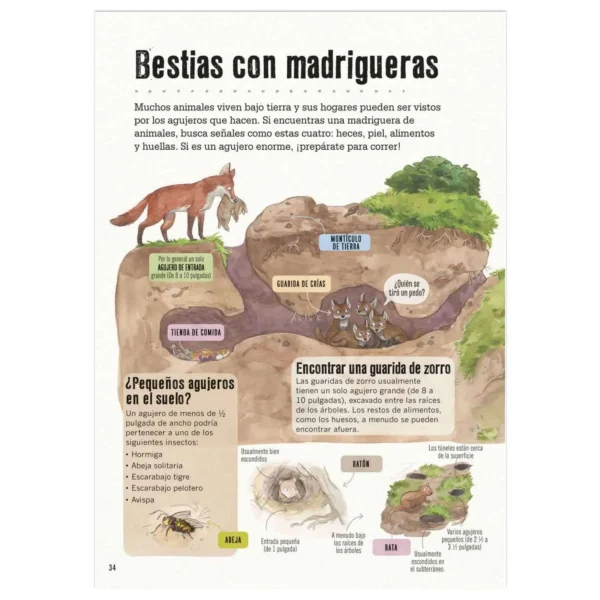 La Pista está en la Caca - Imagen 2